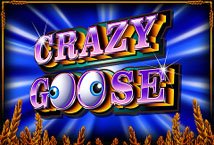 Crazy Goose Slot Review